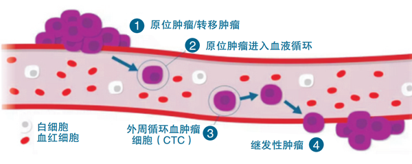 图片4_副本