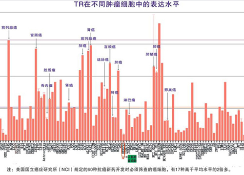 TR活性检测项...